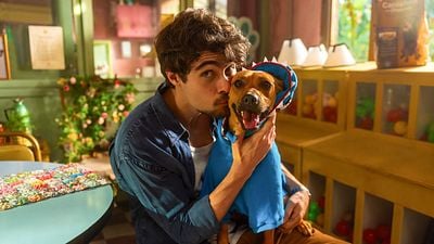 Imagem da notícia Caramelo: O cachorro morre no fim do filme da Netflix?