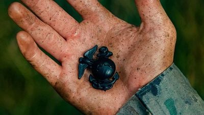 Imagem da notícia "Lixo woke": Após ser criticada pelo Governo Trump, esta série da Netflix dobrou sua audiência em um curto período