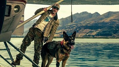 Imagem da notícia “Lealdade e amor incondicional”: Brad Pitt aceitou estrelar Coração Selvagem pela conexão emocionante entre seu personagem e o cachorro