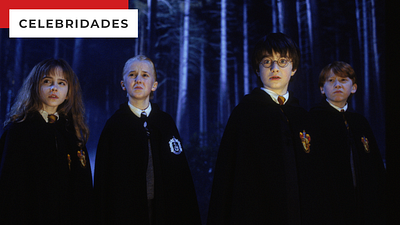 Imagem da notícia Harry Potter: Você sabia que o jovem ator mais bem pago de toda a saga não era Daniel Radcliffe?