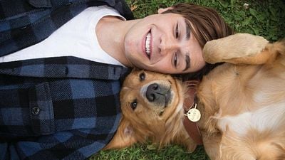 Imagem da notícia Sessão da Tarde hoje (12/02): Se você ama animais, o filme Quatro Vidas de um Cachorro vai arrancar suas lágrimas do começo ao fim!