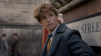 Imagem da notícia Spin-off de Harry Potter que superou marca de toda a franquia é destaque da Sessão da Tarde; veja filmes que irão passar de 10 a 14 de abril