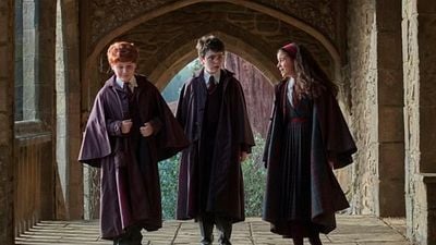 Imagem da notícia "Estou esperando a ligação": Ator de O Senhor dos Anéis quer interpretar Voldemort na série de Harry Potter
