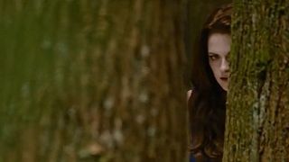 Imagem da notícia Confira mais um teaser de A Saga Crepúsculo: Amanhecer - O Final