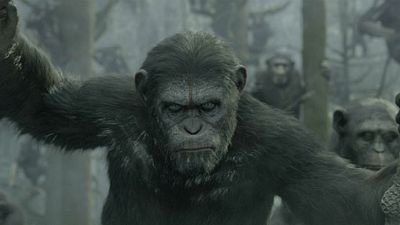 Imagem da notícia Sequência de Planeta dos Macacos - A Origem mostra primeira imagem de César