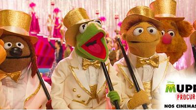 Imagem da notícia Chegou o trailer de Muppets 2 - Procurados e Amados!