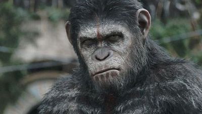 Imagem da notícia Planeta dos Macacos: O Confronto - Novo trailer revela como começou a guerra entre primatas