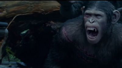 Imagem da notícia Novo vídeo de Planeta dos Macacos: O Confronto explica a origem da nova geração de primatas