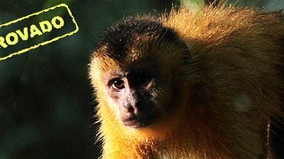Imagem da notícia Amigos do AdoroCinema: Belas imagens compensam momentos cansativos de Amazônia, dizem blogueiros