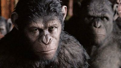 Bilheterias Estados Unidos: Ótima estreia para Planeta dos Macacos: O Confronto