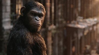 Imagem da notícia Concurso de Críticas: Conheça o autor do melhor texto sobre Planeta dos Macacos: O Confronto