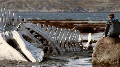 Imagem da notícia Leviathan prepara trailer para o Festival de Toronto