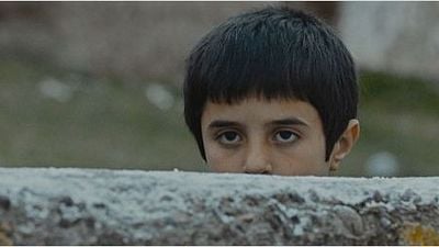 Imagem da notícia Veneza 2014: Filme turco causa polêmica devido às cenas com brigas entre cachorros