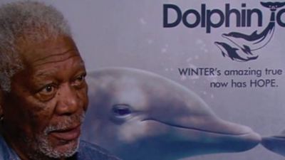 AdoroHollywood: Morgan Freeman fala sobre Winter, o Golfinho 2