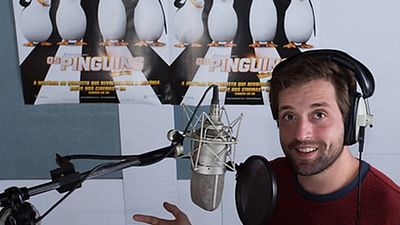 Imagem da notícia Gregório Duvivier vai dublar personagem de Os Pinguins de Madagascar