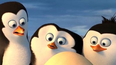 Imagem da notícia Concurso de Críticas: Conheça o autor do melhor texto sobre Os Pinguins de Madagascar