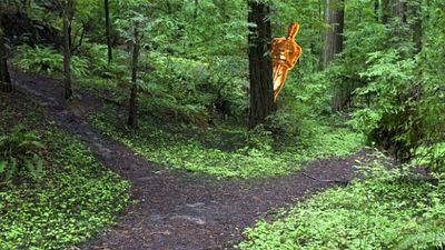 Imagem da notícia Por onde andará: Conheça o calendário dos próximos filmes dos vencedores do Oscar