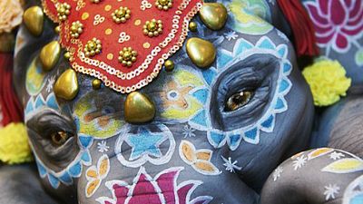 Imagem da notícia ONG em defesa dos animais sugere final diferente para Dumbo de Tim Burton