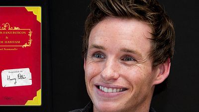 Imagem da notícia Warner procura atrizes para Animais Fantásticos e Onde Habitam, novo filme do universo Harry Potter