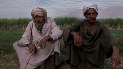 Imagem da notícia Olhar de Cinema 2015: Documentarista é personagem involuntária de filme sobre revolução no Egito