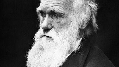 Imagem da notícia Disney vai produzir filme de aventura sobre Charles Darwin