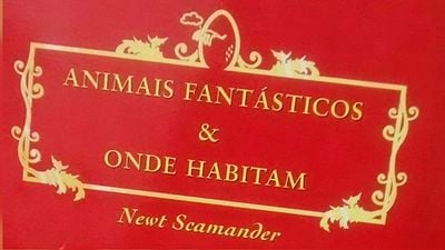 Imagem da notícia Animais Fantásticos e Onde Habitam: Produtores buscam jovem atriz em audições abertas ao público