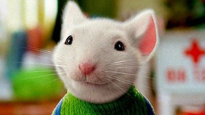 Imagem da notícia O Pequeno Stuart Little vai ganhar remake!