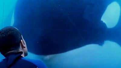 Lucro do SeaWorld cai 84% - e documentário (ainda) pode ser o maior responsável