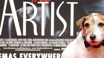 Imagem da notícia Morreu Uggie, cãozinho que roubou a cena em O Artista