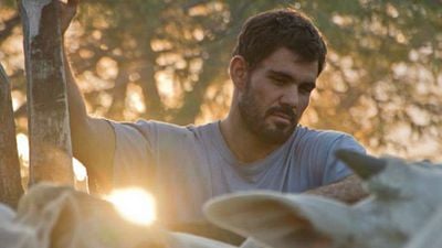 Imagem da notícia Festival de Toronto 2015: Tem filme brasileiro na primeira edição de programa competitivo do evento