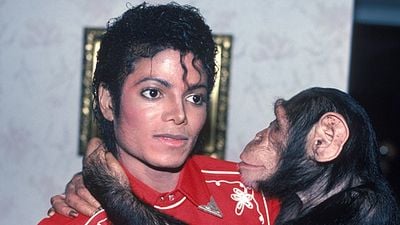 Imagem da notícia Filme sobre chimpanzé de Michael Jackson se destaca em lista com os melhores roteiros (ainda) não produzidos em Hollywood