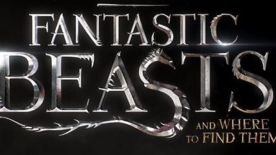 Imagem da notícia Confira uma nova imagem de Newt Scamander, protagonista de Animais Fantásticos e Onde Habitam
