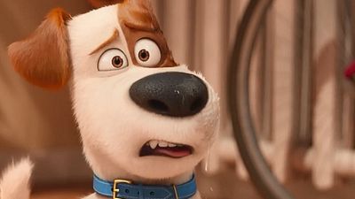 Imagem da notícia Animais domésticos aprontam todas em mais um trailer de Pets - A Vida Secreta dos Bichos