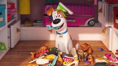 Imagem da notícia Pets - A Vida Secreta dos Bichos mostra os animais fazendo a festa em comercial do Super Bowl