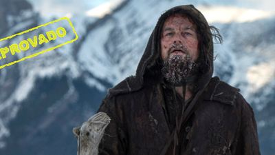 Amigos do AdoroCinema: O Regresso tem imagens lindas e ótima atuação de Leonardo DiCaprio, dizem blogueiros