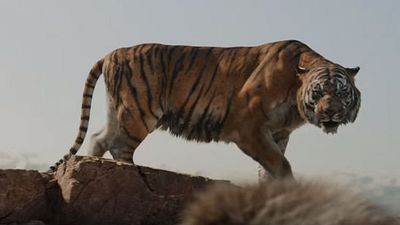 Imagem da notícia Mogli - O Menino Lobo: Tigre Shere Khan ameaça menino em novo comercial de TV