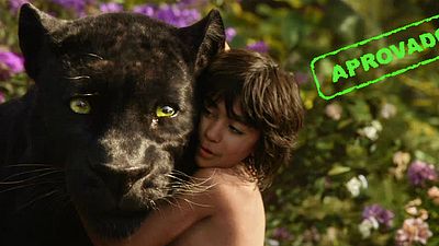 Imagem da notícia Amigos do AdoroCinema: Blogueiros destacam efeitos visuais e história comovente de Mogli - O Menino Lobo