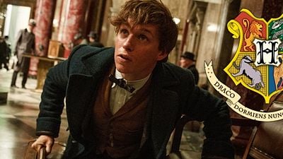 Imagem da notícia Fã de Harry Potter descobre os títulos das Casas da Escola de Bruxaria dos EUA