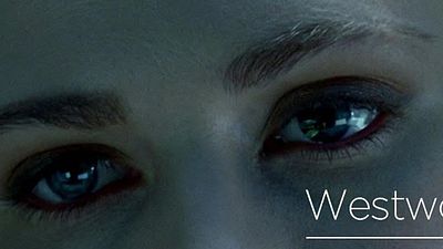 Imagem da notícia Westworld, Divorce e novas séries da HBO devem ser lançadas ainda este ano