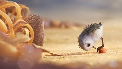 Imagem da notícia Piper, novo curta da Pixar, ganha mais imagens
