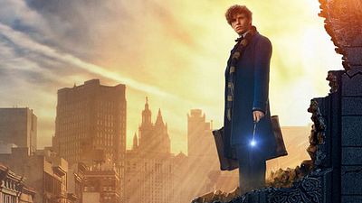 Imagem da notícia Animais Fantásticos e Onde Habitam ganha novo cartaz