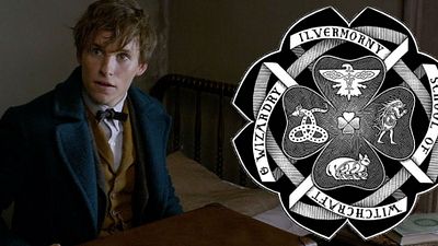 Imagem da notícia Fã de Harry Potter, saiba qual é a sua Casa na Escola de Magia dos EUA