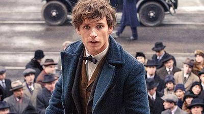 Imagem da notícia Animais Fantásticos e Onde Habitam: Segunda parte já foi escrita!