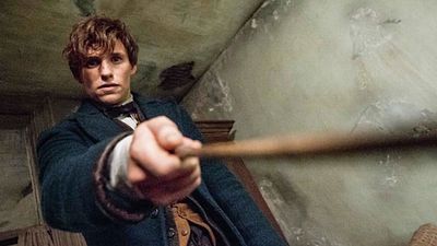 Imagem da notícia David Yates vai dirigir Animais Fantásticos e Onde Habitam 2, que chegará aos cinemas no fim de 2018