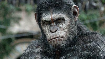 Imagem da notícia War for the Planet of the Apes será marcado por um conflito mortal entre homens e símios, revela sinopse