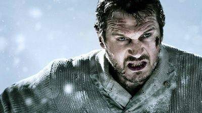 Liam Neeson vai combater um gângster vegano no filme de ação Hard Powder