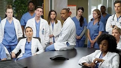 Imagem da notícia Grey's Anatomy: Um dos personagens não estará no elenco regular da 14ª temporada