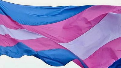 Imagem da notícia Dia das Mulheres: 10 atrizes transexuais que se destacam no cinema e nas séries