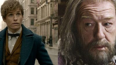 Imagem da notícia J.K. Rowling revela mais uma conexão entre Newt Scamander e Dumbledore em livro de Animais Fantásticos