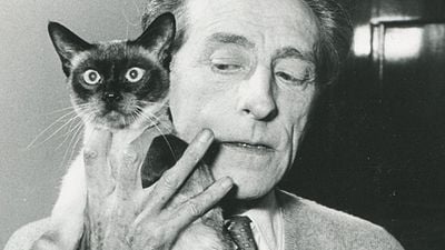 Imagem da notícia Com A Bela e a Fera (1946) e Orfeu na programação, mostra dedicada a Jean Cocteau chega ao CCBB Brasília